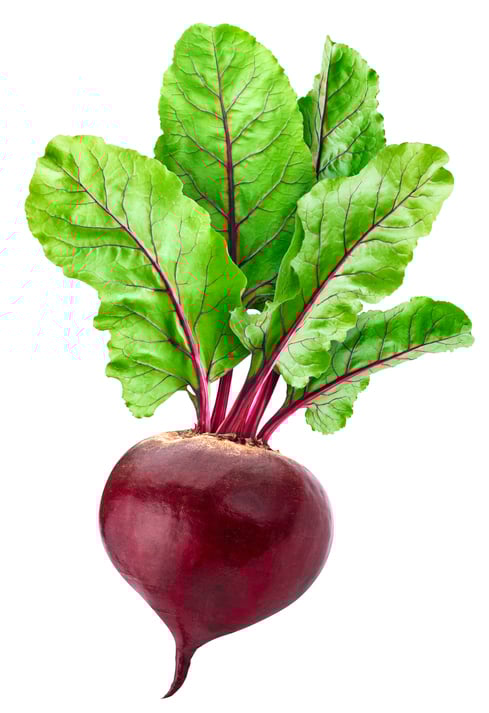 Beet