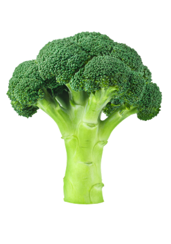 Broccoli